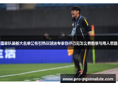 国家队最新大名单公布引热议球迷专家各抒己见怎么看前景与用人思路