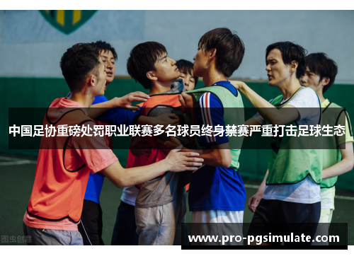 中国足协重磅处罚职业联赛多名球员终身禁赛严重打击足球生态