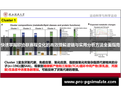 快速掌握欧协联赛程变化的高效理解逻辑与实用分析方法全面指南