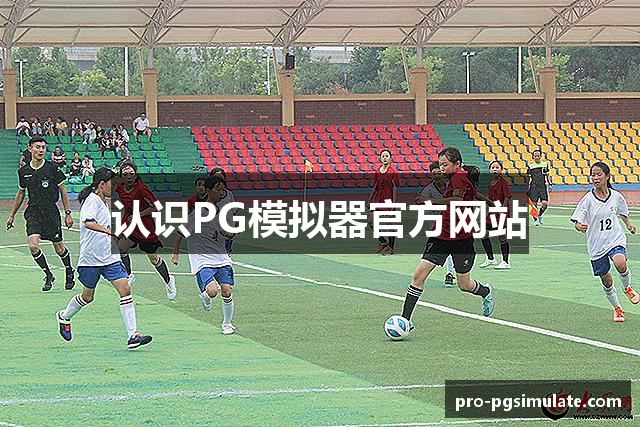 认识PG模拟器官方网站